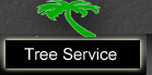 Tree Service in Vero Beach FL